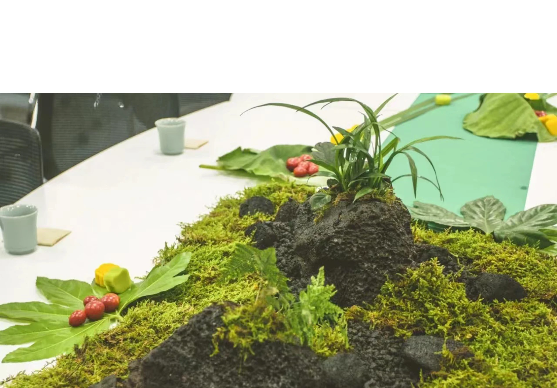 الطحلب الاصطناعي المزيف للنبات - مراجعة Terrarium Moss Art وسعره
