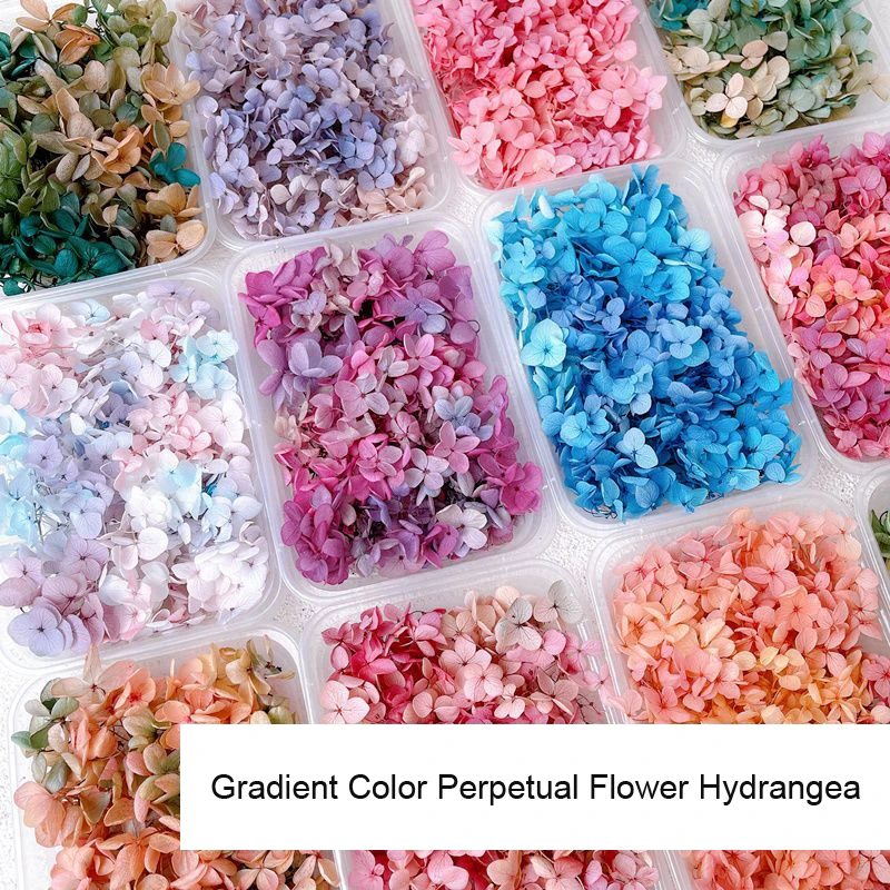 زخرفة أظافر زهور مجففة حقيقية  - مراجعة Dried Flower Bulk وسعره