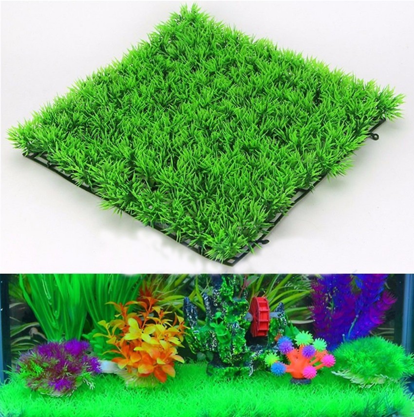 نبات العشب الأخضر الاصطناعي ال - مراجعة Terrarium Moss Art وسعره