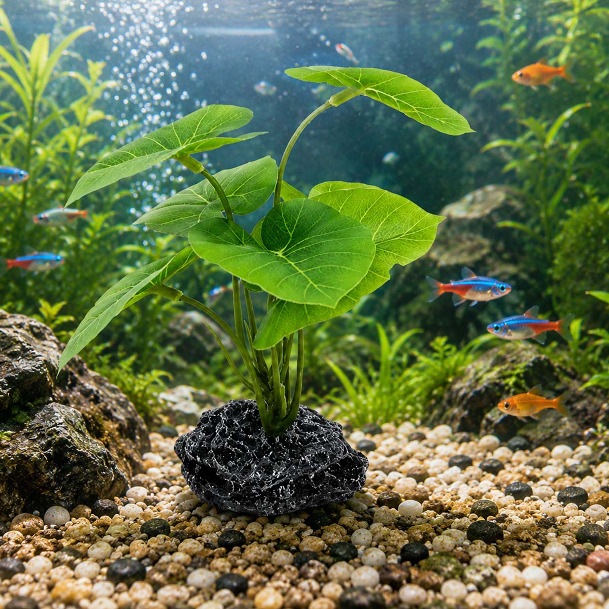 نبات اصطناعي واحد لحوض السمك،  - مراجعة Terrarium Moss Art وسعره