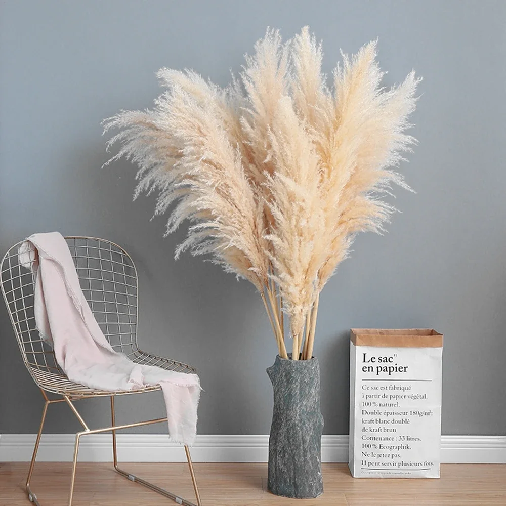 120 سنتيمتر-130 سنتيمتر رقيق ك - مراجعة Dried Flower Bulk وسعره