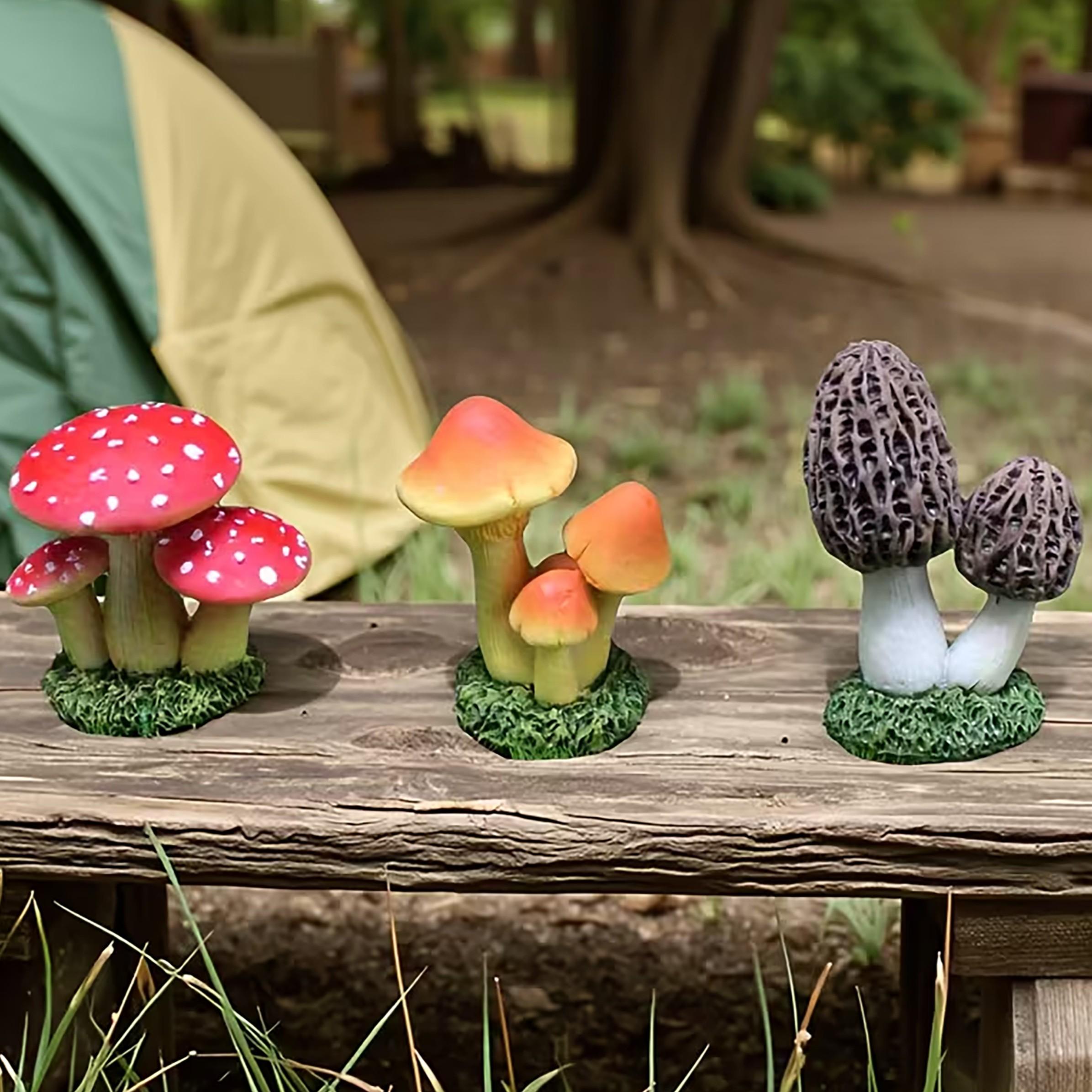 مجموعة من 3 قطع زينة فطر صناعي - مراجعة Terrarium Moss Art وسعره