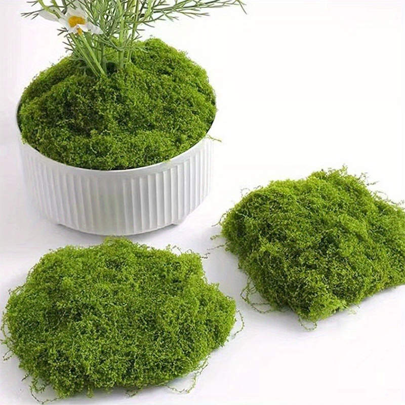 الطحلب الأخضر المزيف DIY الحرف - مراجعة Terrarium Moss Art وسعره