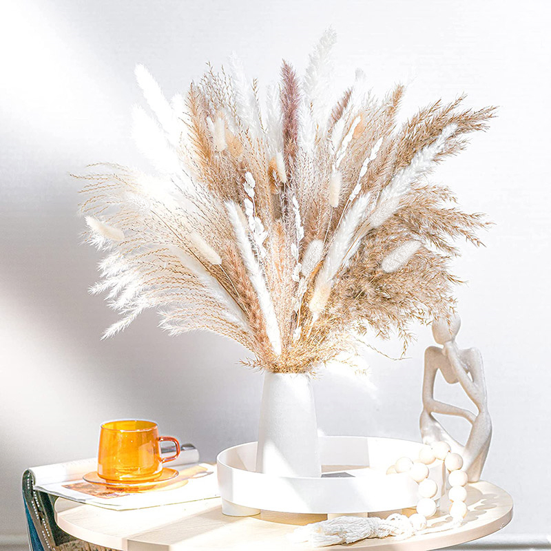 60-100 قطعة الطبيعية المجففة P - مراجعة Dried Flower Bulk وسعره
