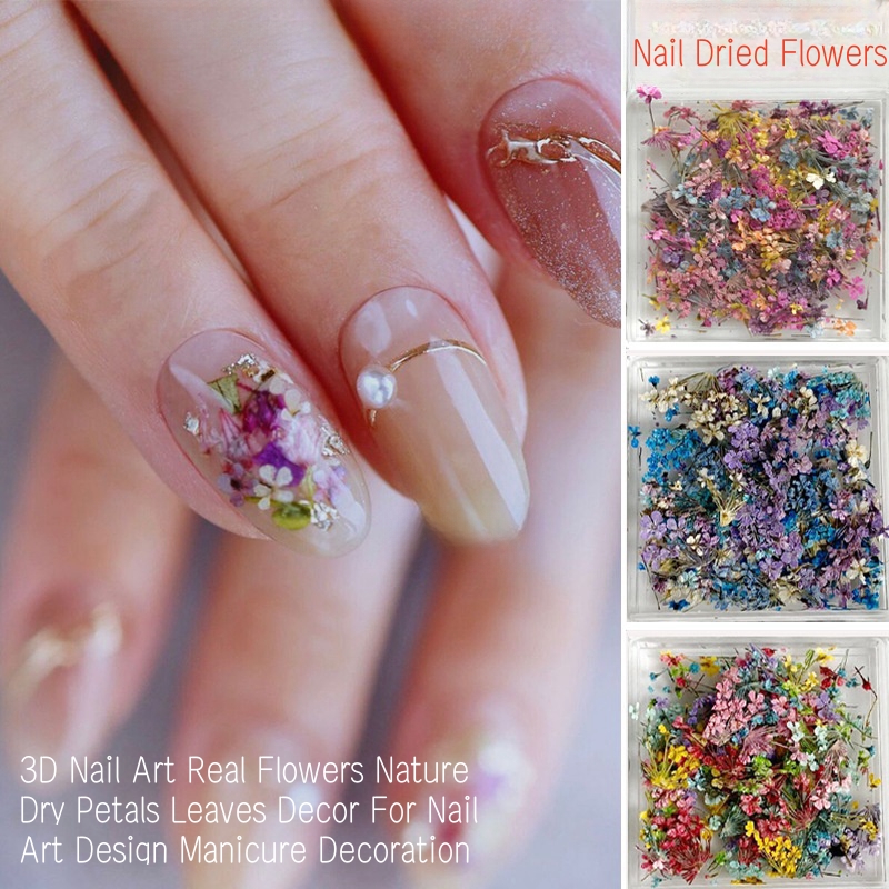 زهور مجففة صغيرة مختلطة، فن ال - مراجعة Dried Flower Bulk وسعره
